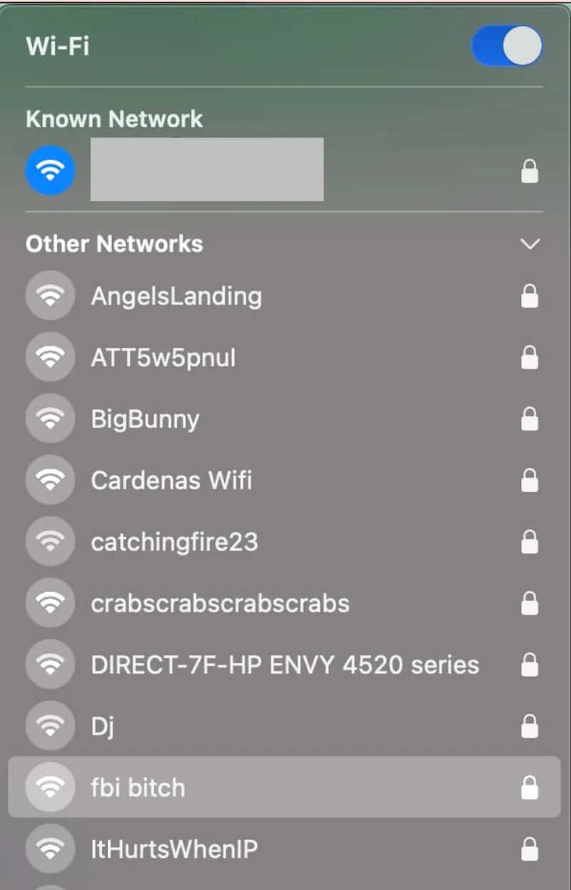 Screenshot showing available Wi-Fi networks, including one named 'fbi bitch'.